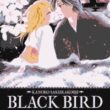 Black Bird 08 - Image 1