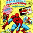 Aranha Maravilha 1 - Image 1