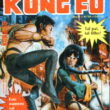 Mestre Kung Fu 30 - Image 1