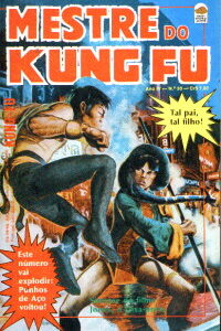 Mestre Kung Fu 30