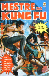 Mestre Kung Fu 30