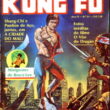 Mestre Kung Fu 31 - Image 1