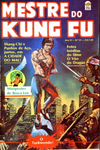 Mestre Kung Fu 31