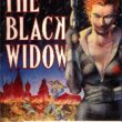 GNM Black Widow - Image 1