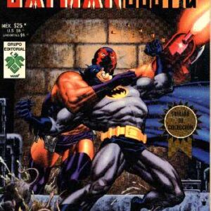 Batman Diez Noches
