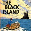 Tintin Black Island - Image 1