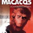 Macacos Dominavam - Image 1