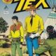 Tex em Cores 02 - Imagem 1