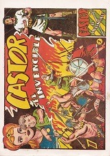 Castor Coleção com 48