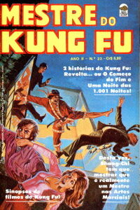 Mestre Kung Fu 23
