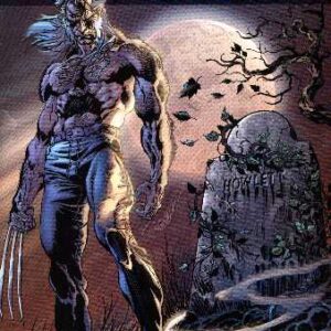 Wolverine Fim com 3